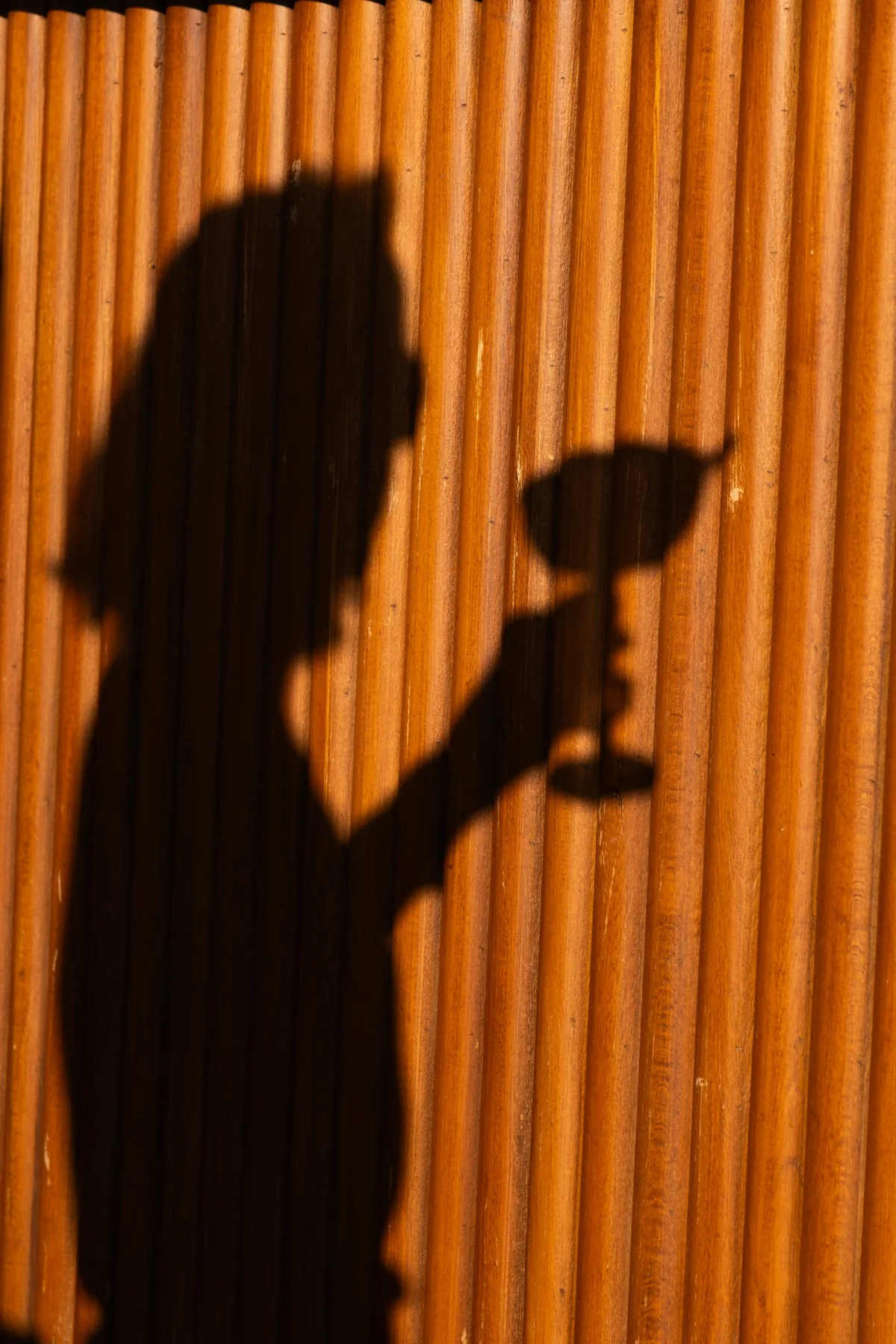 A guest and cocktail cast a shadow on warm wood